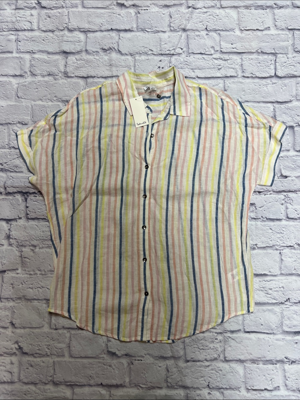 Splendid Pastel Multicolor Striped Button-Down Shirt